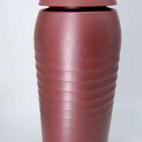 Trinkflasche Iron Berry 0.75L (im/perfect)